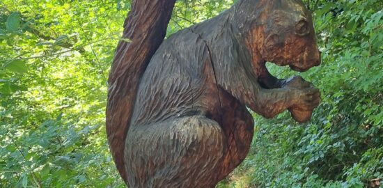 Polhov doživljajski park pri Polhograjski graščini