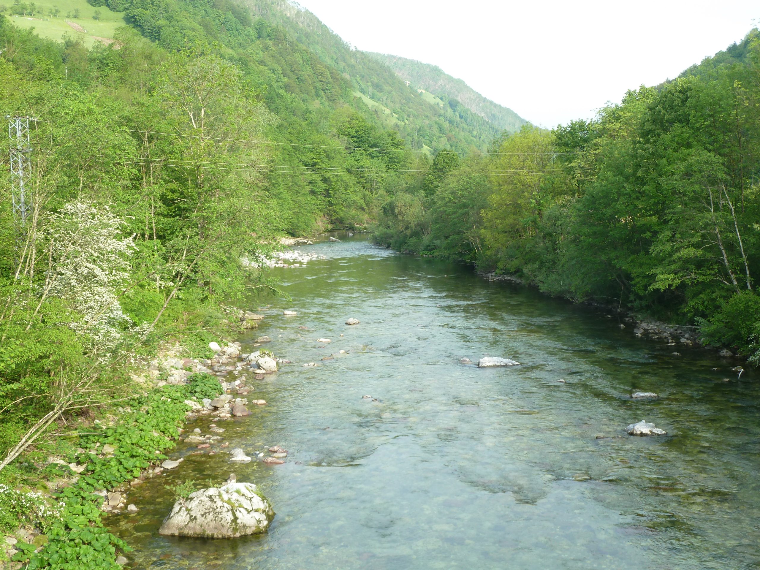 Idrijska Bela