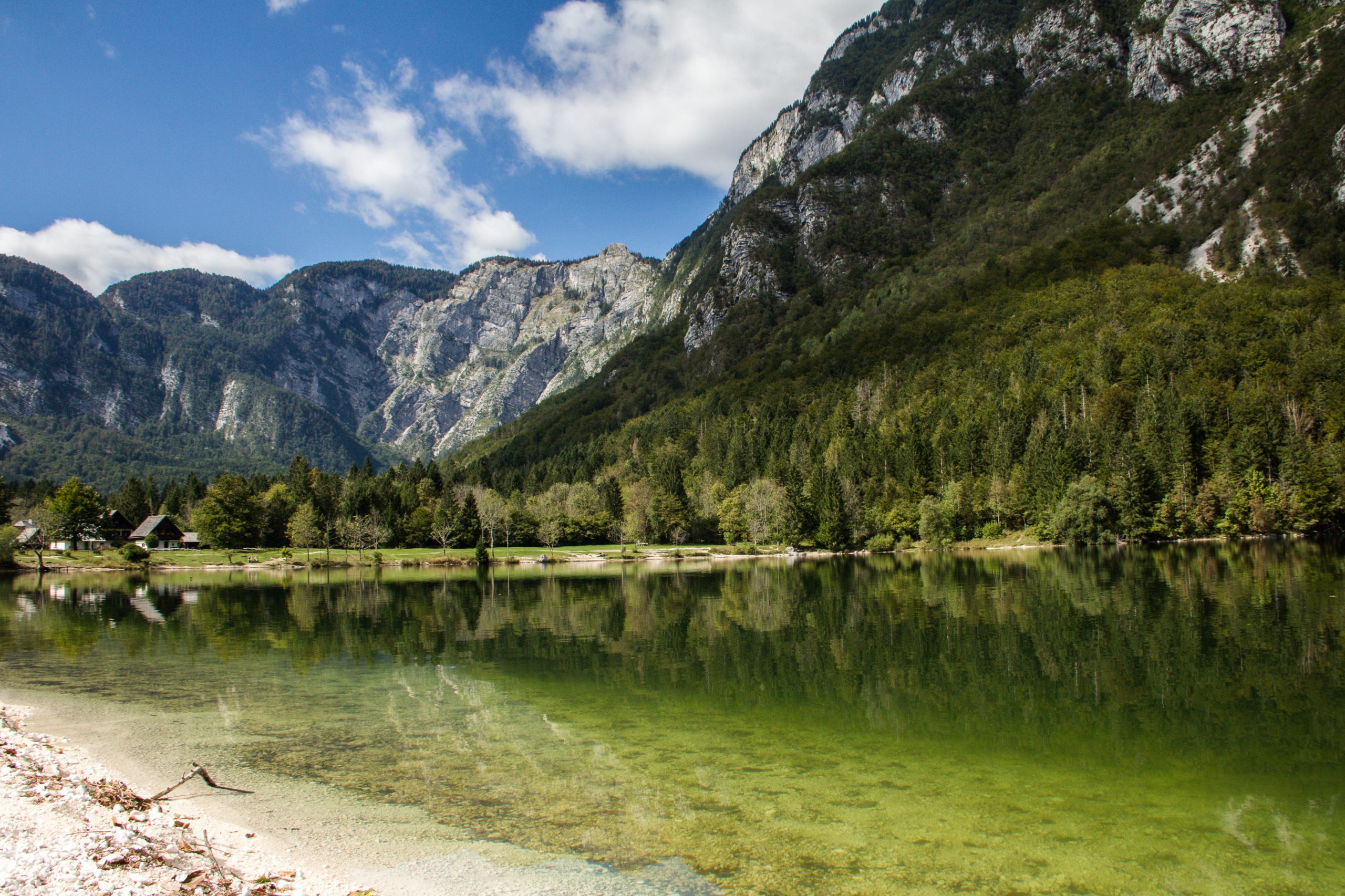 Bohinjsko jezero