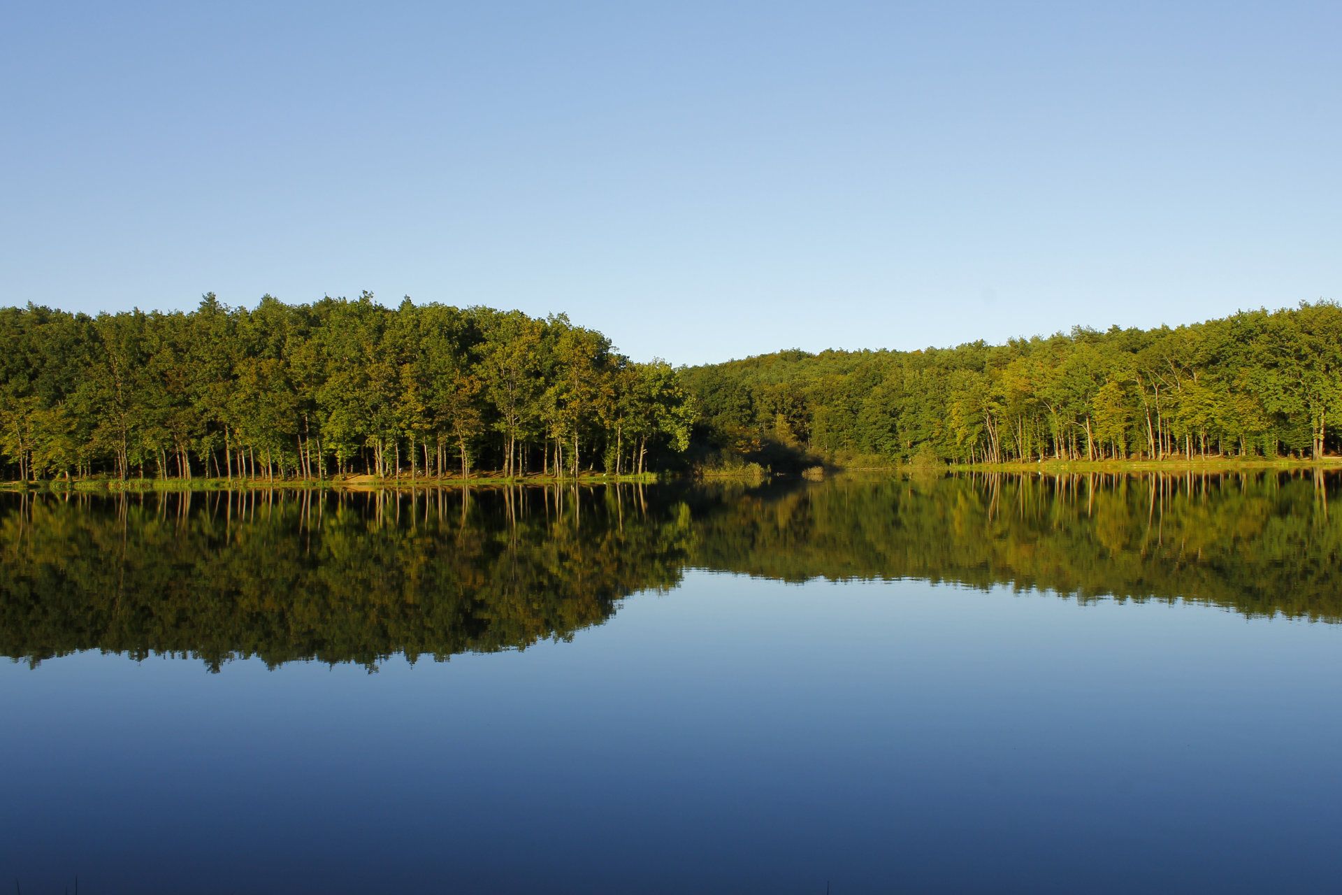 Pogled na Bukovniško jezero in gozdno okolico