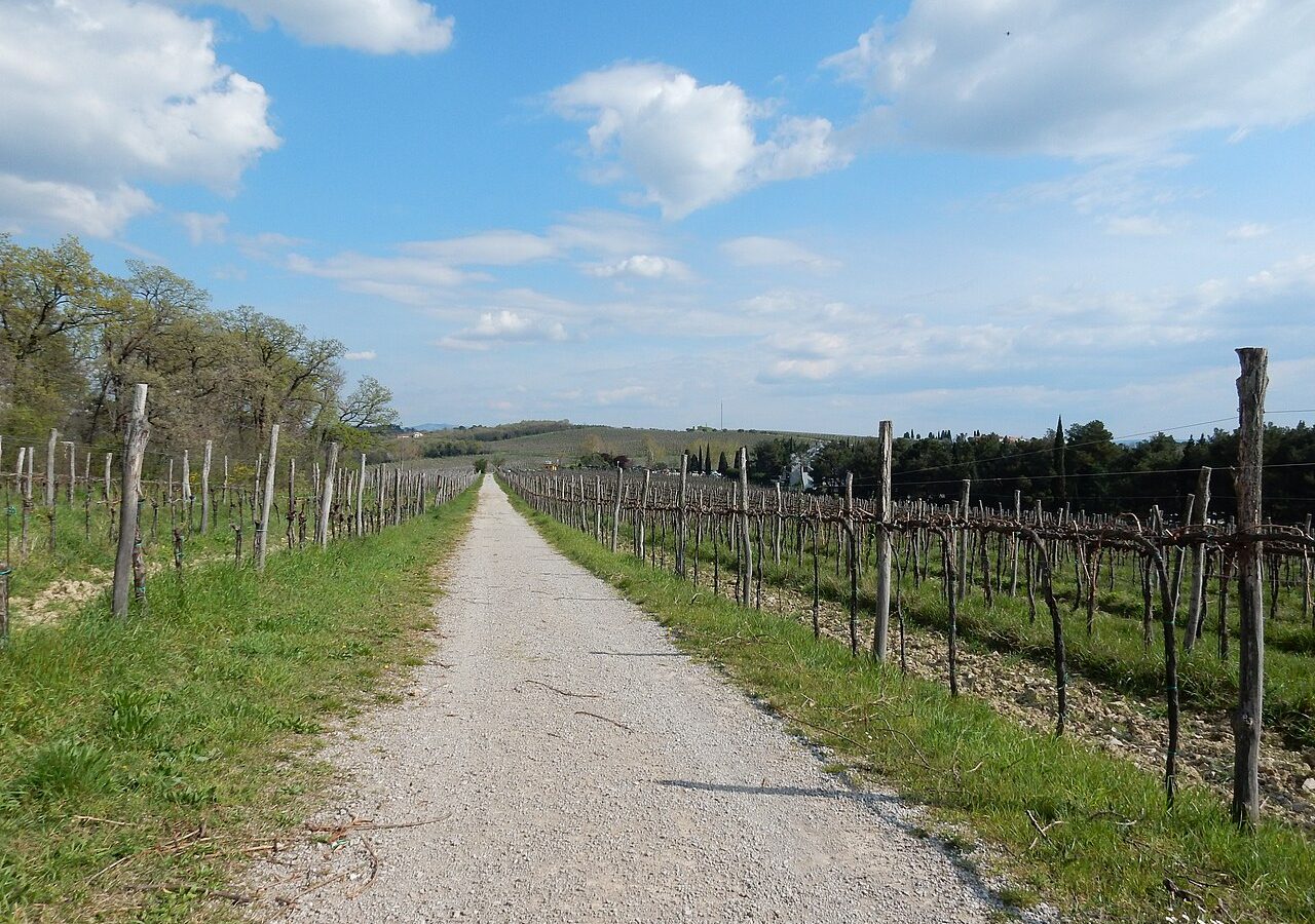 Debeli rtič pri Ankaranu z morsko obalo in klifi