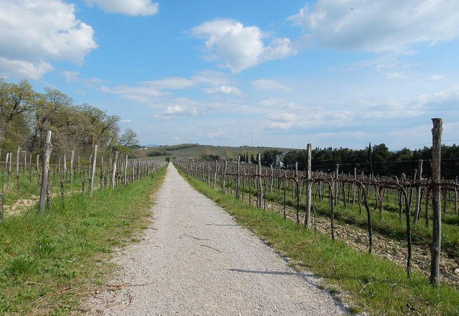 Debeli rtič pri Ankaranu z morsko obalo in klifi