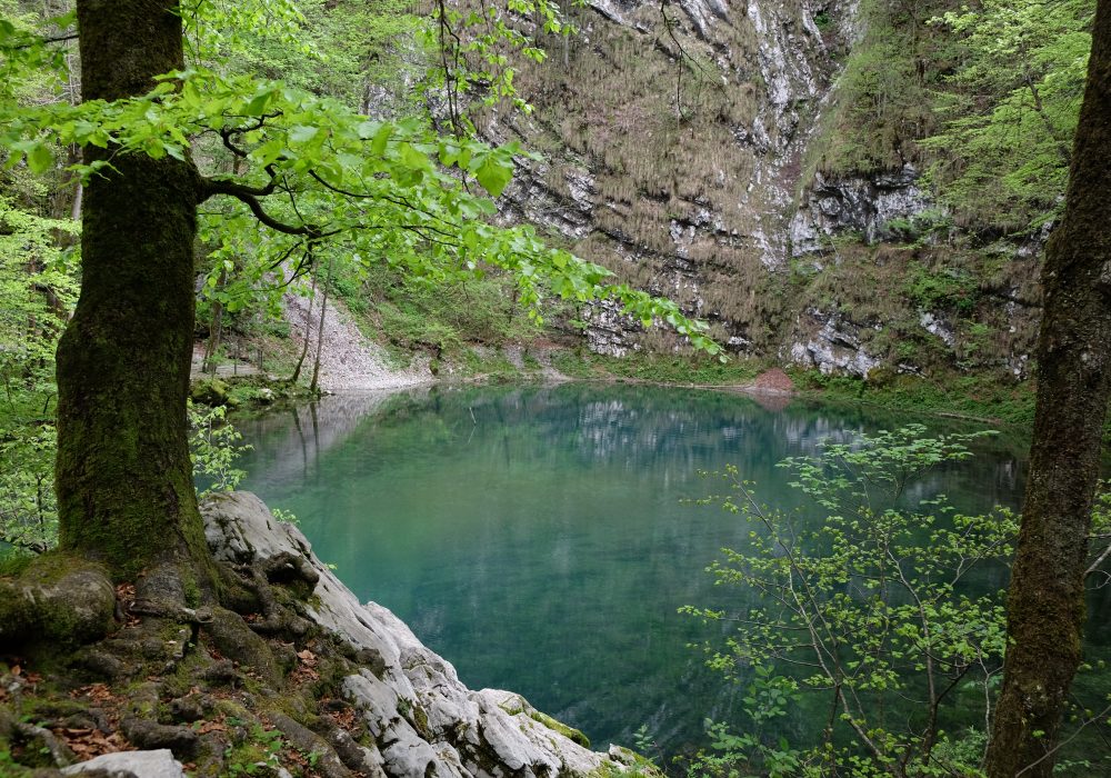 Divje jezero pri Idriji - kraški izvir in jezero