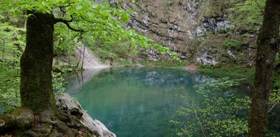 Divje jezero pri Idriji - kraški izvir in jezero