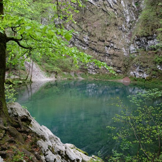Divje jezero pri Idriji - kraški izvir in jezero