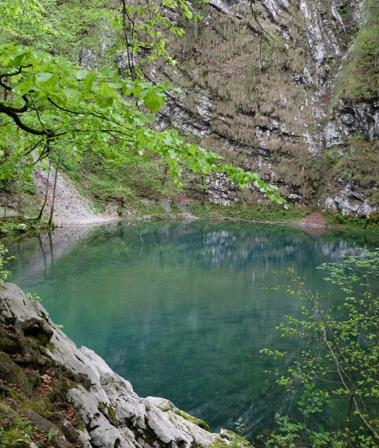 Divje jezero pri Idriji - kraški izvir in jezero