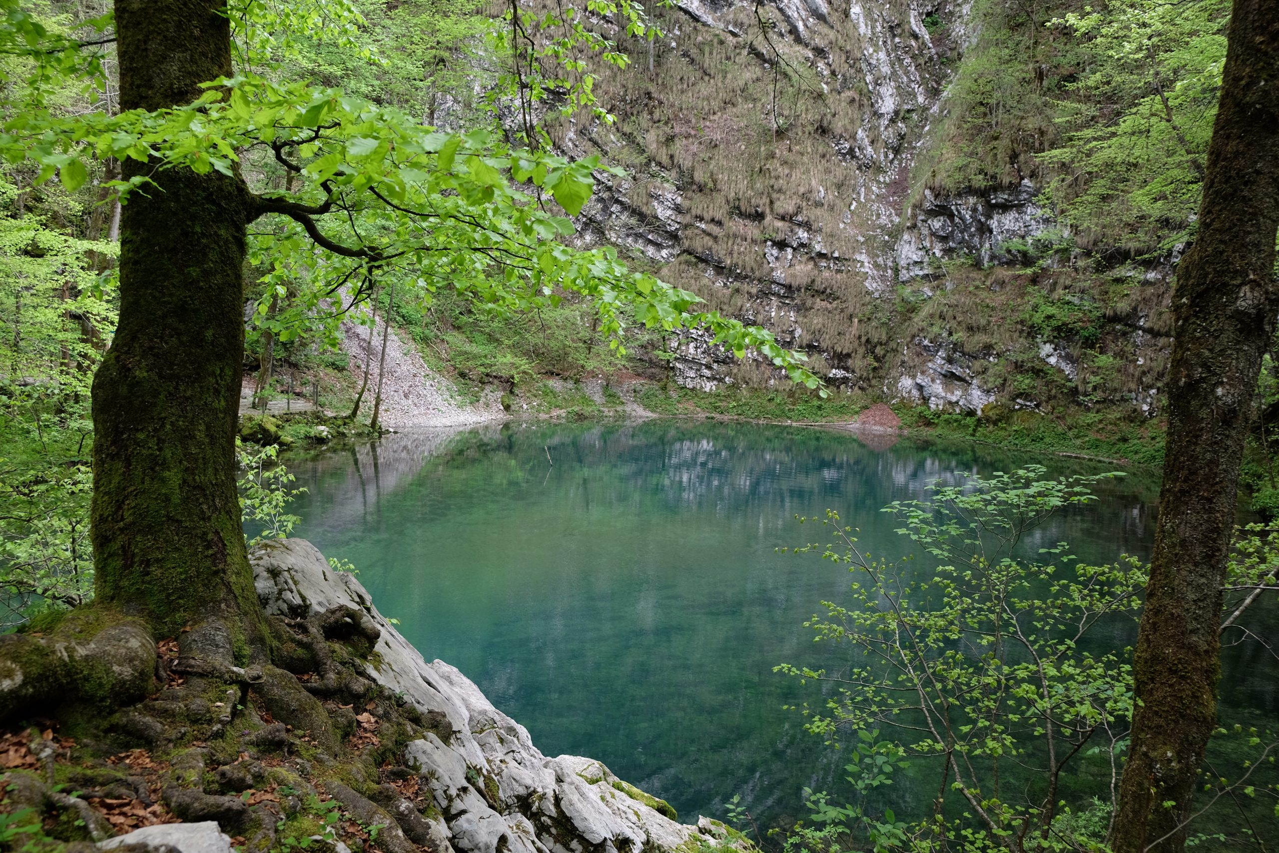 Divje jezero pri Idriji - kraški izvir in jezero