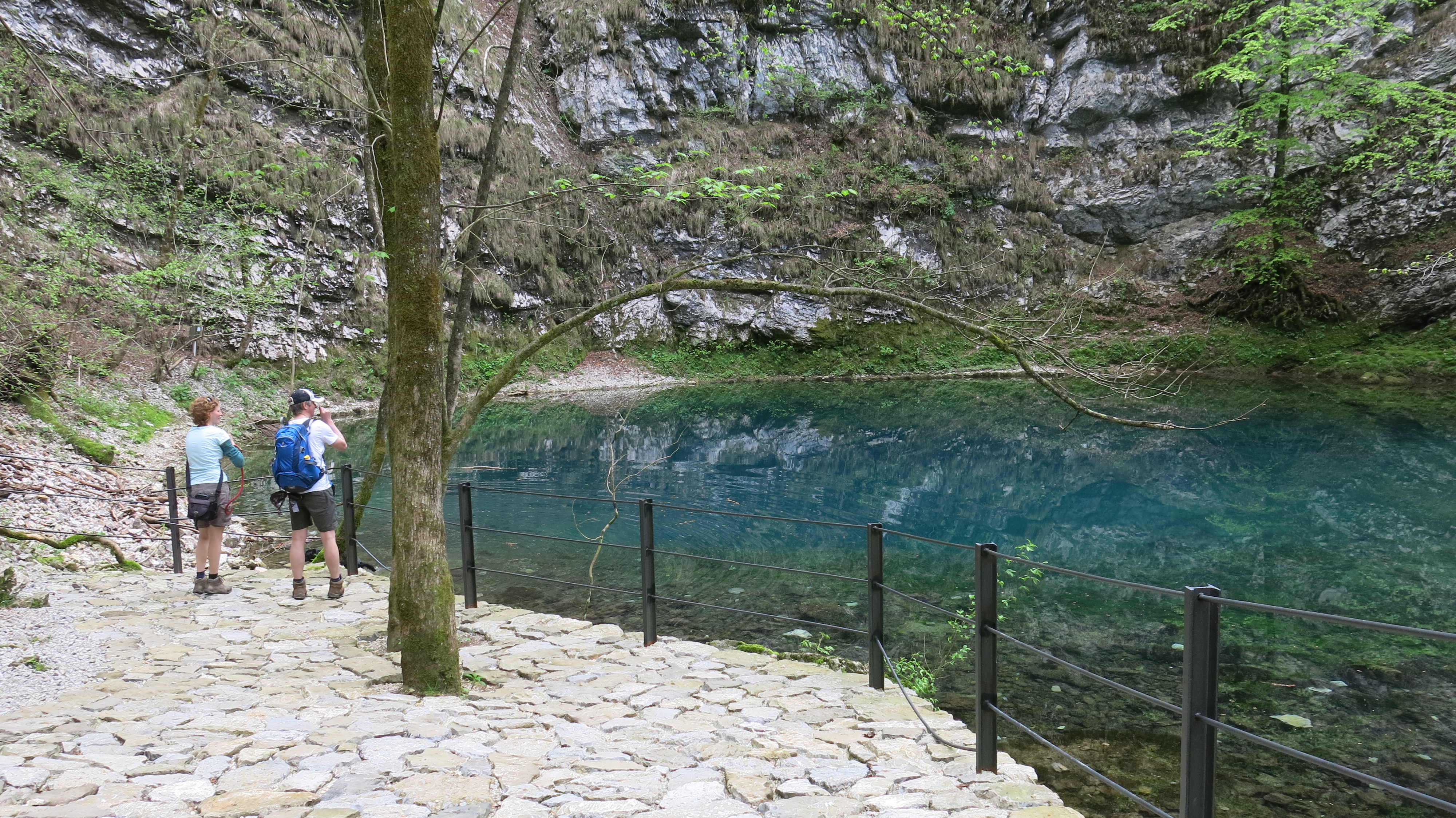 Pogled na Divje jezero v naravnem okolju