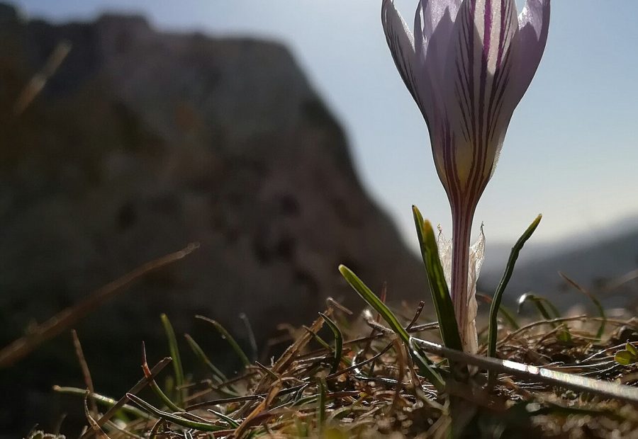 Dolina Glinščice z razgledi in skalnatimi pobočji pri Trstu