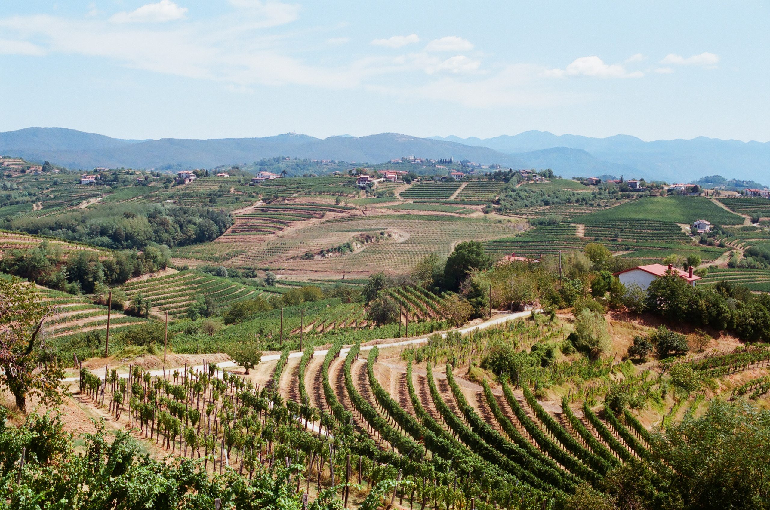 Šmartno v Goriških brdih. Vir: Wikimedia Commons