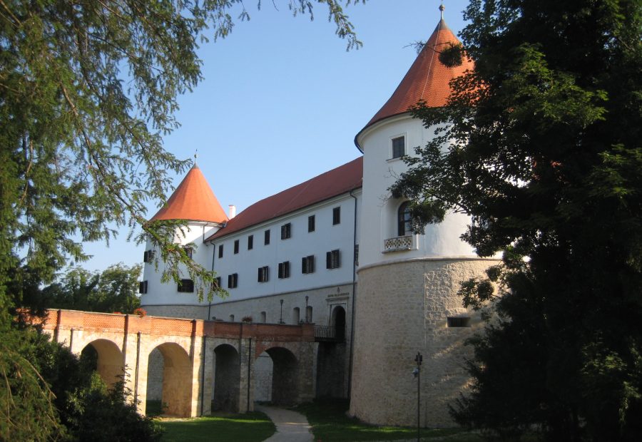 Grad Mokrice pri Brežicah