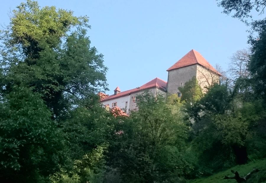 Grad Podsreda – pogled z grajske poti