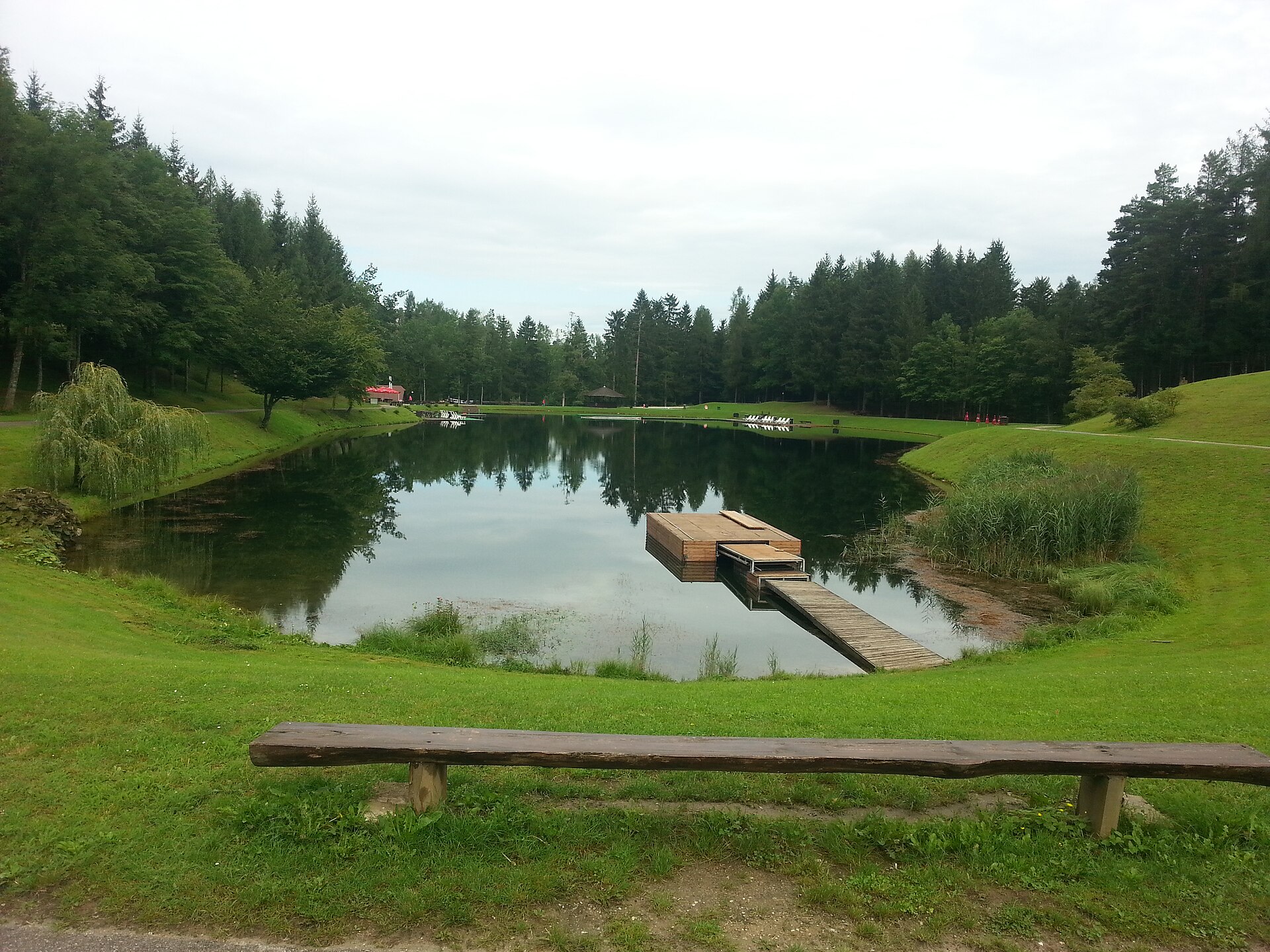 Pogled na Ivarčko jezero in gozdno okolico
