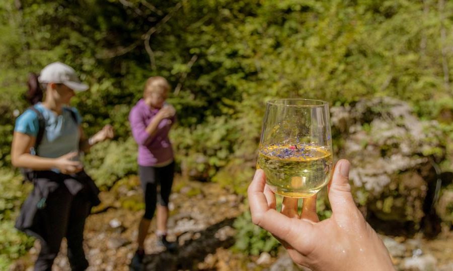 Izvir Kamniške Bistrice – kratek izlet v alpsko dolino