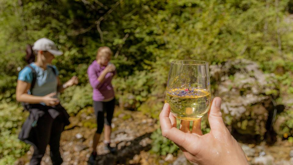 Izvir Kamniške Bistrice – kratek izlet v alpsko dolino