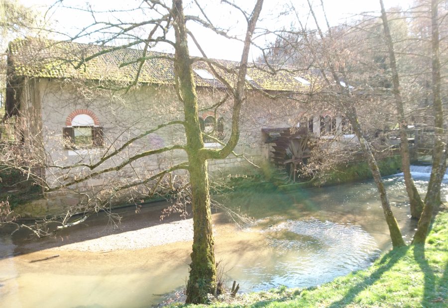 Klevevž