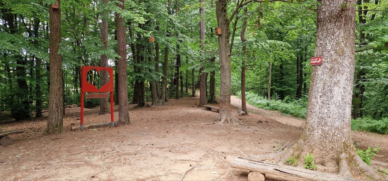 Gozdna pot in srce pri Koči Klobuk