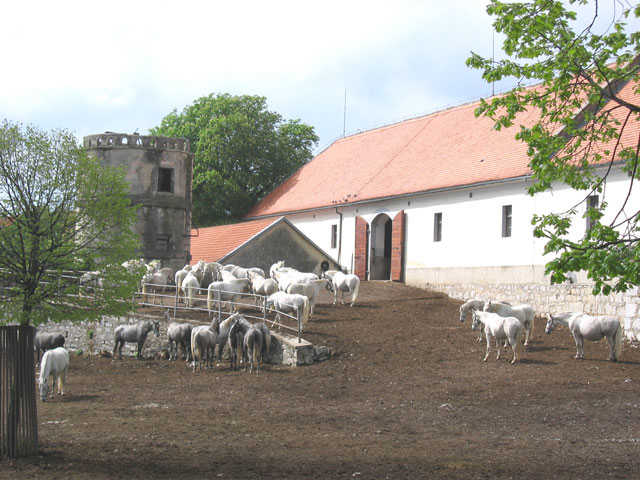 Dostopni izleti