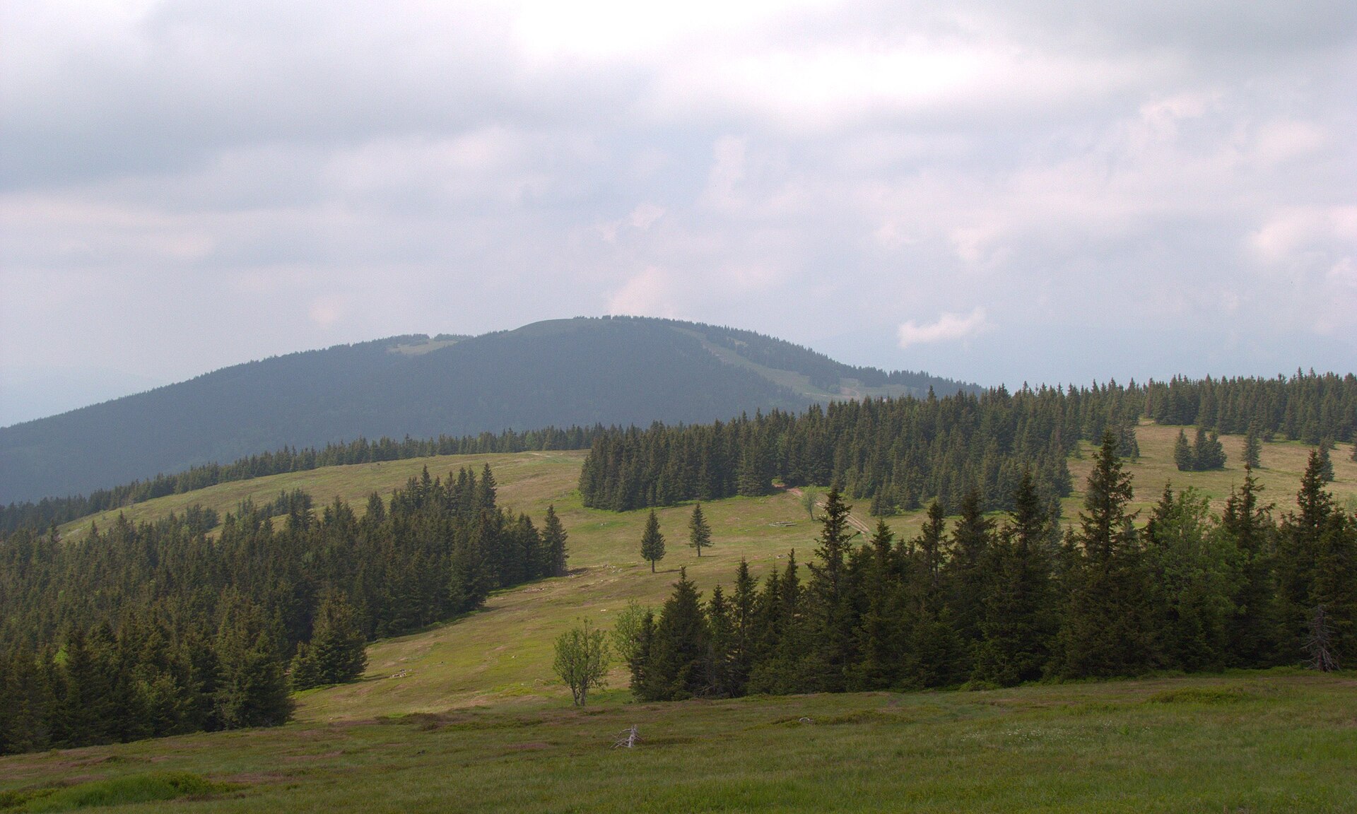 Razgled s Kop na Pohorju