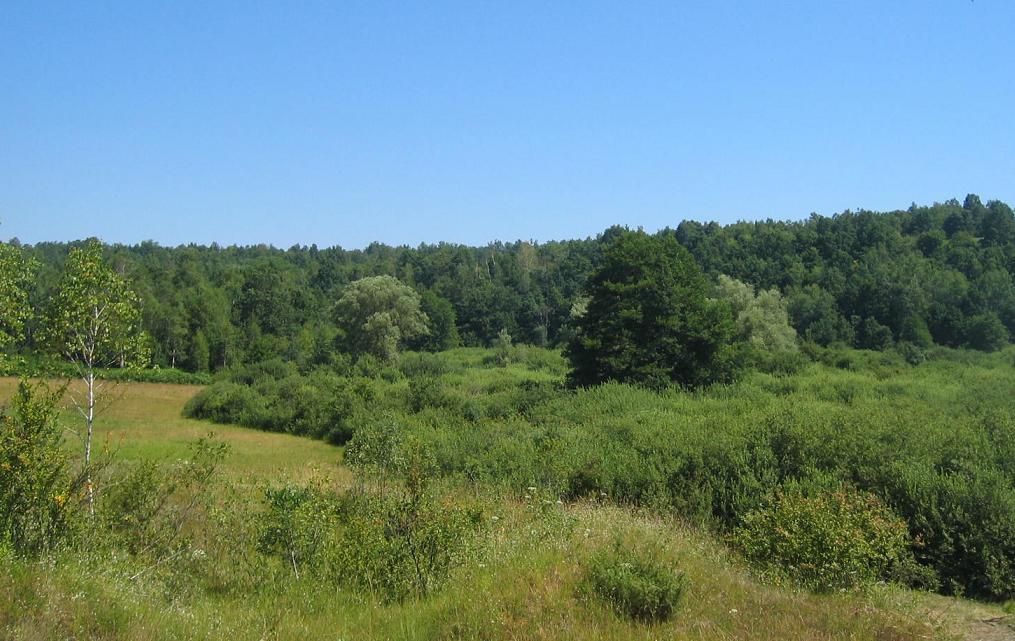 Izvir in mokrišče v Krajinskem parku Lahinja