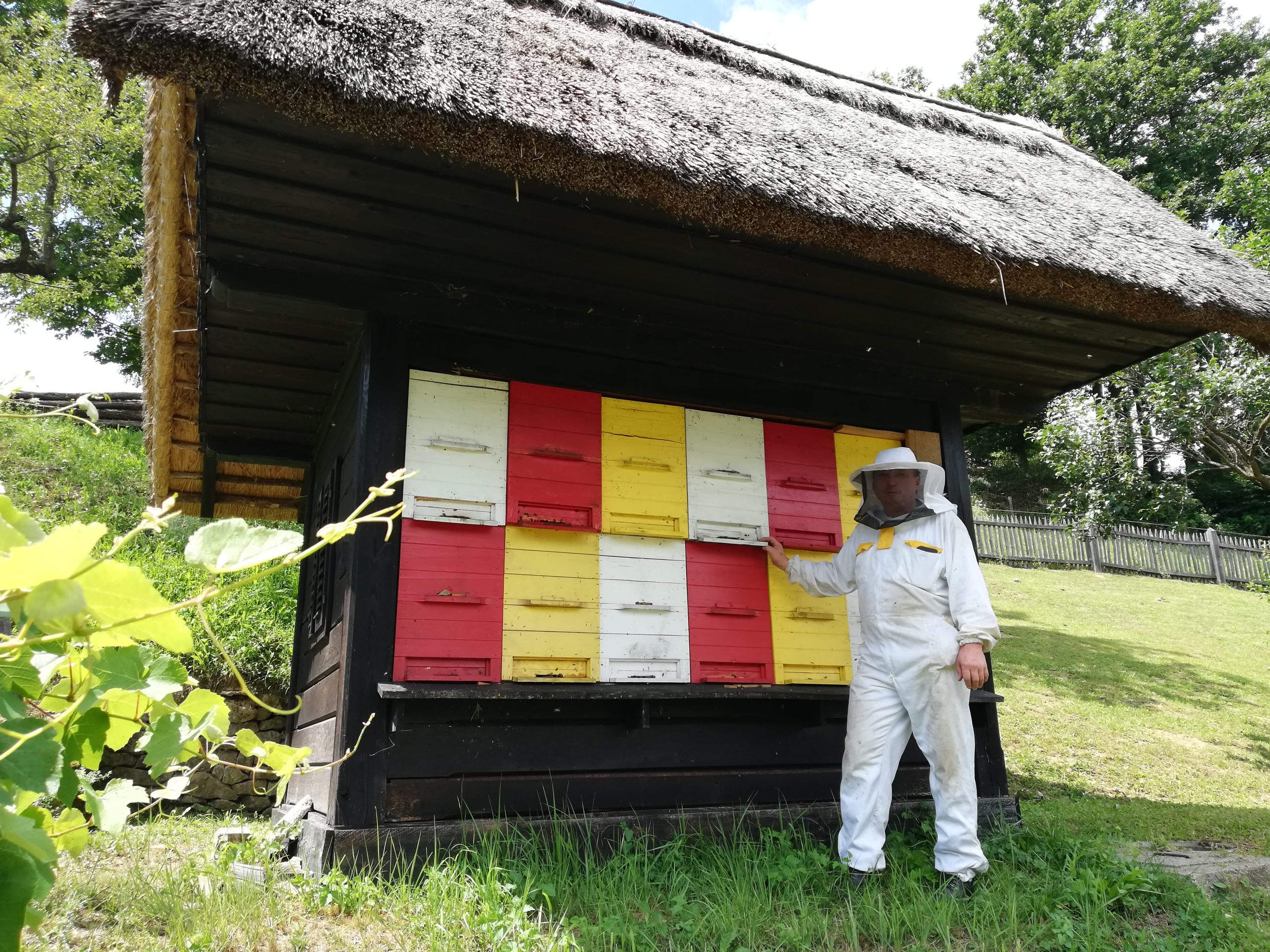 Muzej na prostem Rogatec – družinski izlet med starimi hišami