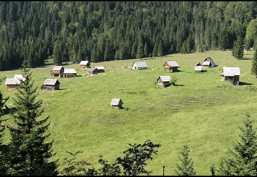 Planina Blato nad Bohinjem