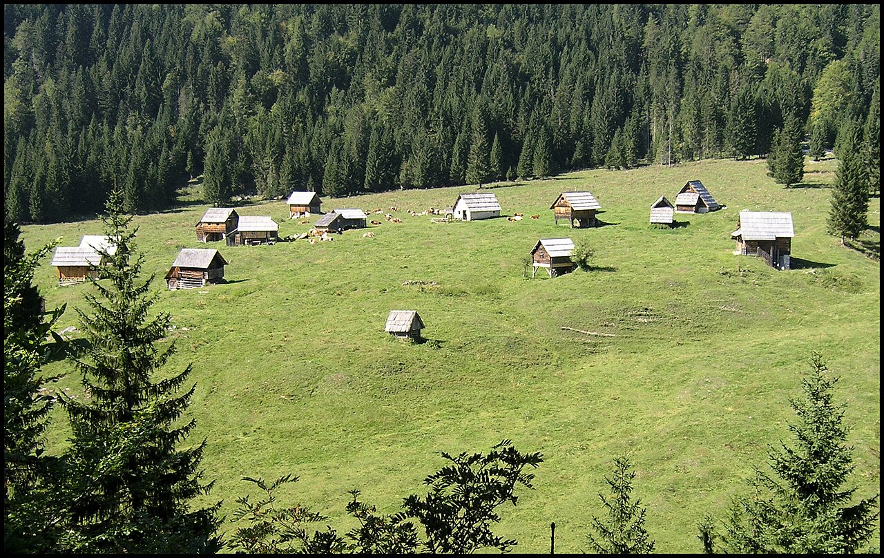 Planina Blato nad Bohinjem