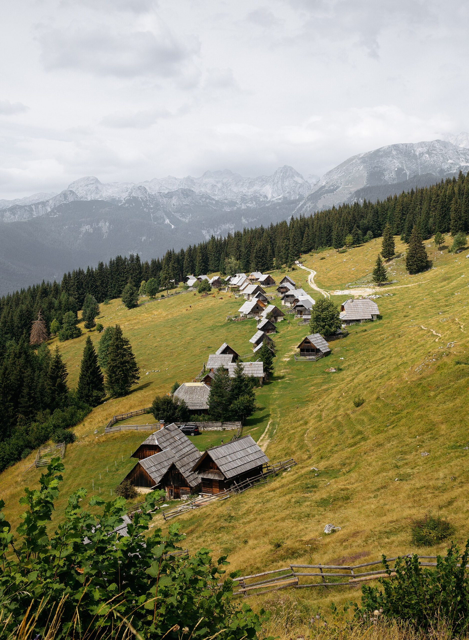 Travnik in stanovi na planini Zajamniki v Bohinju