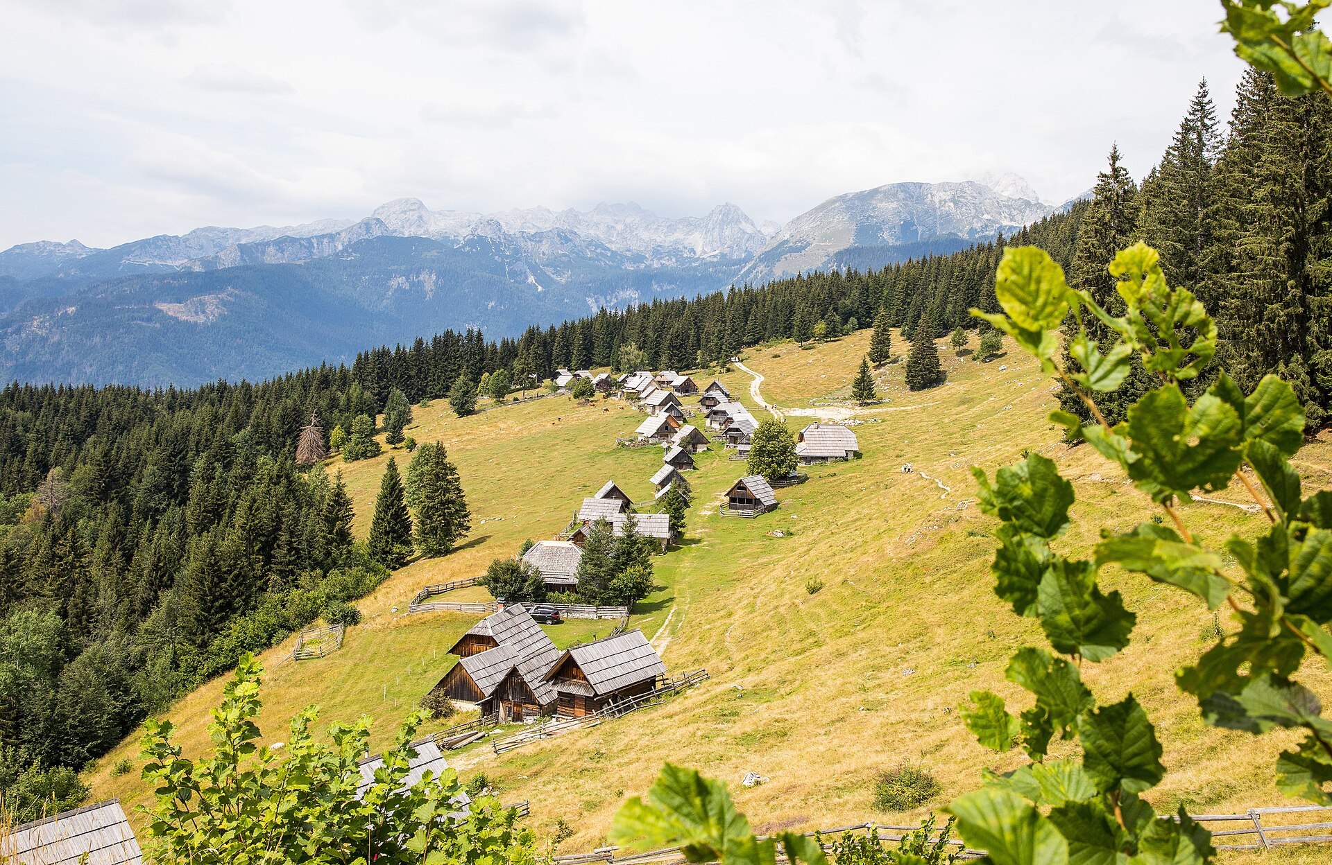 Planina Zajamniki s pastirskimi stanovi na Pokljuki
