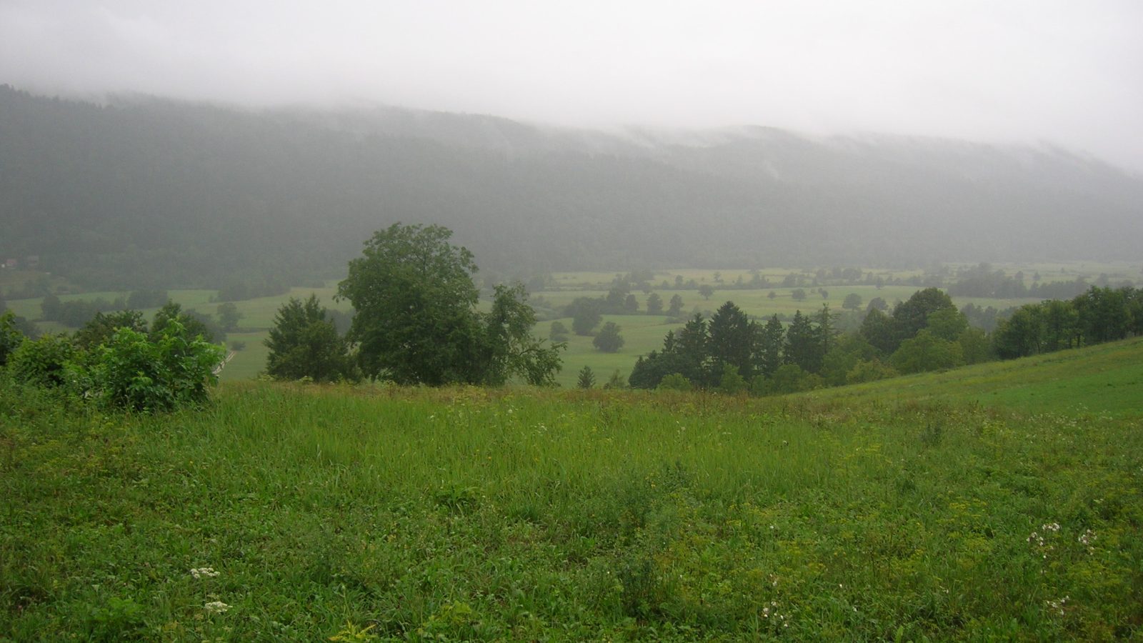 Planinsko polje