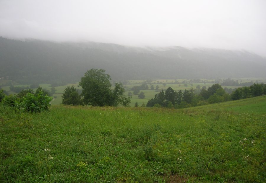Planinsko polje
