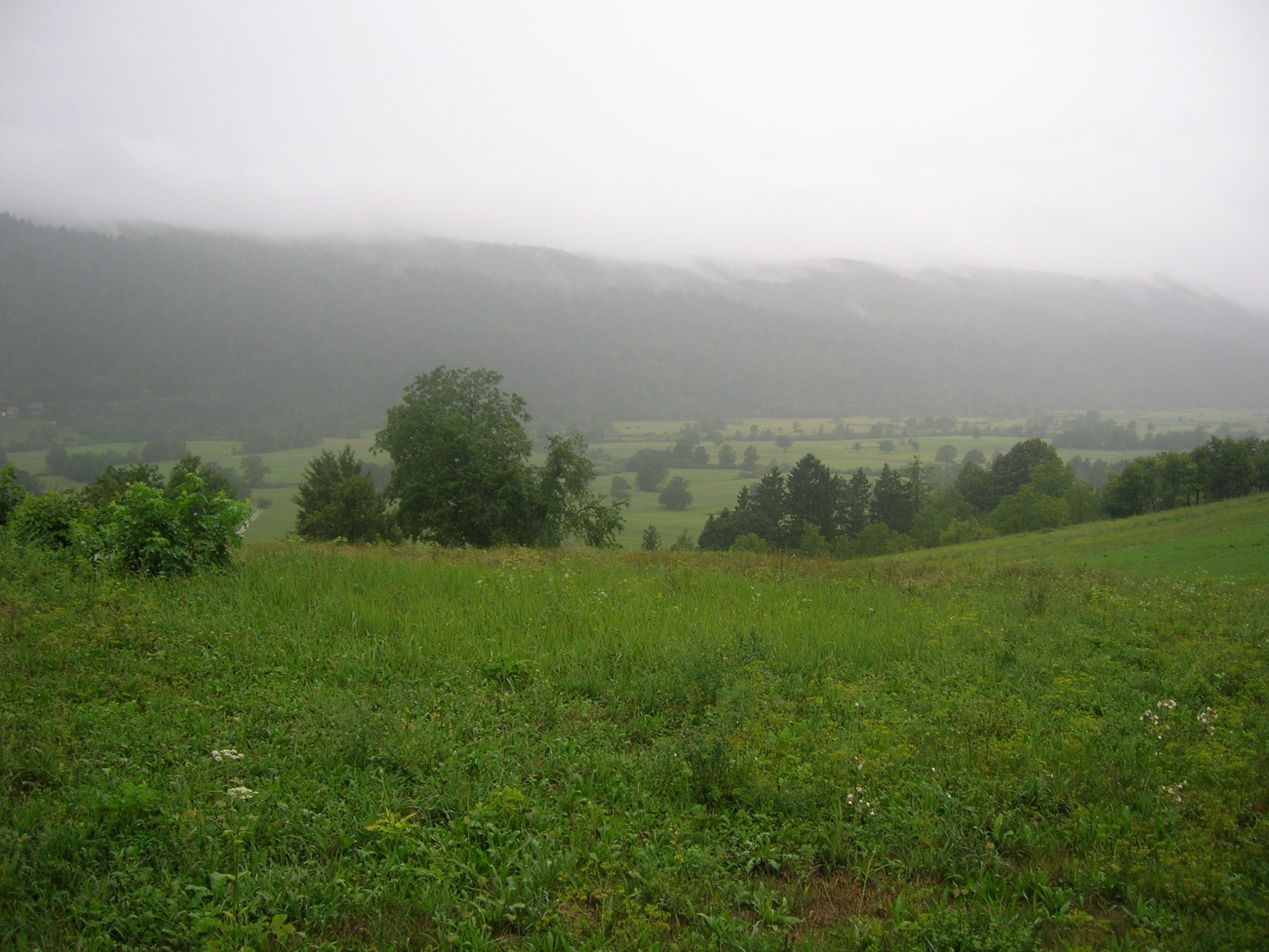 Planinsko polje