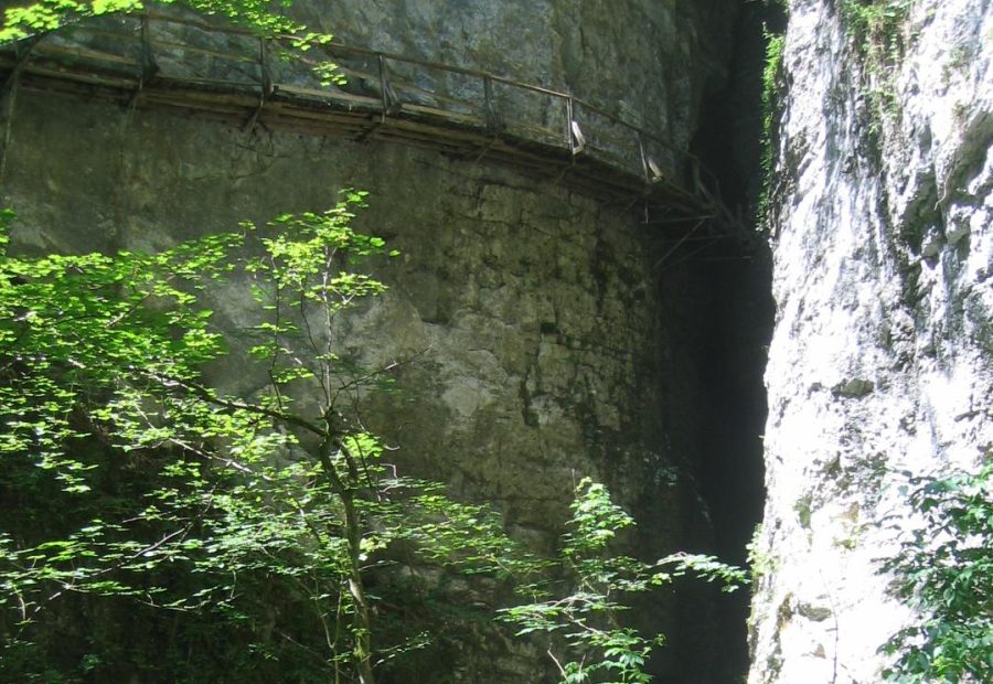 Pokljuška soteska