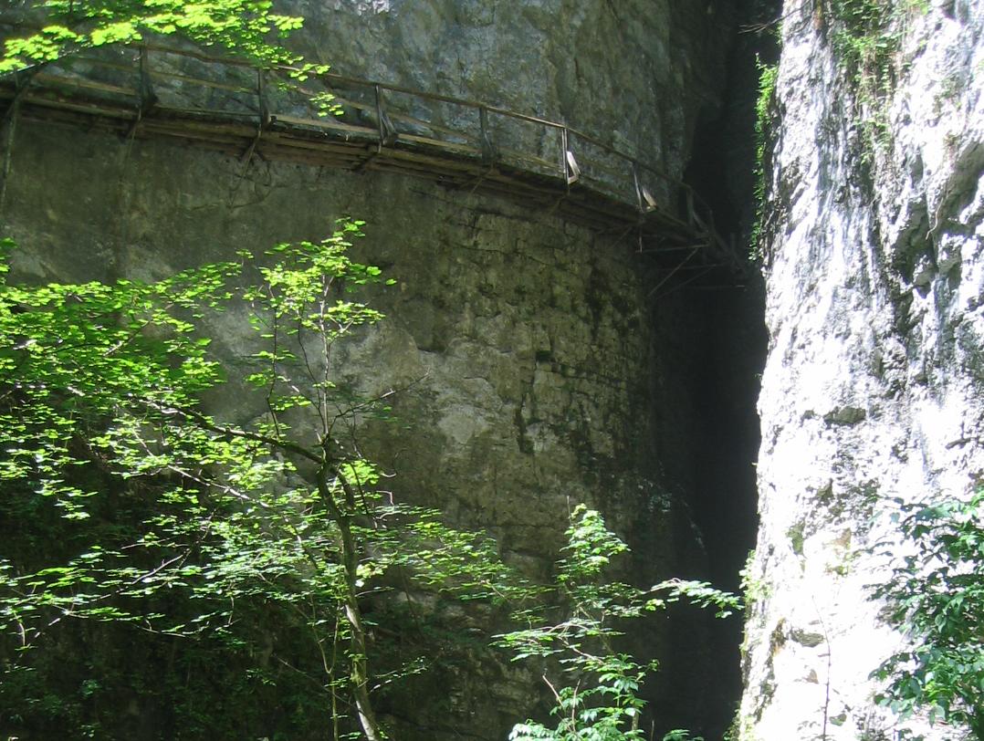 Pokljuška soteska