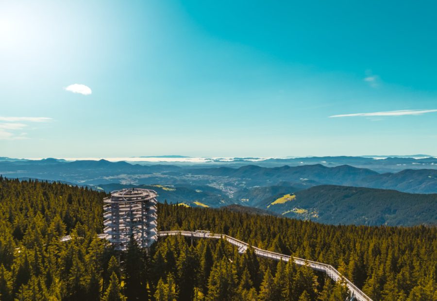 Pot med krošnjami Pohorje z razglednim stolpom nad pohorskimi gozdovi