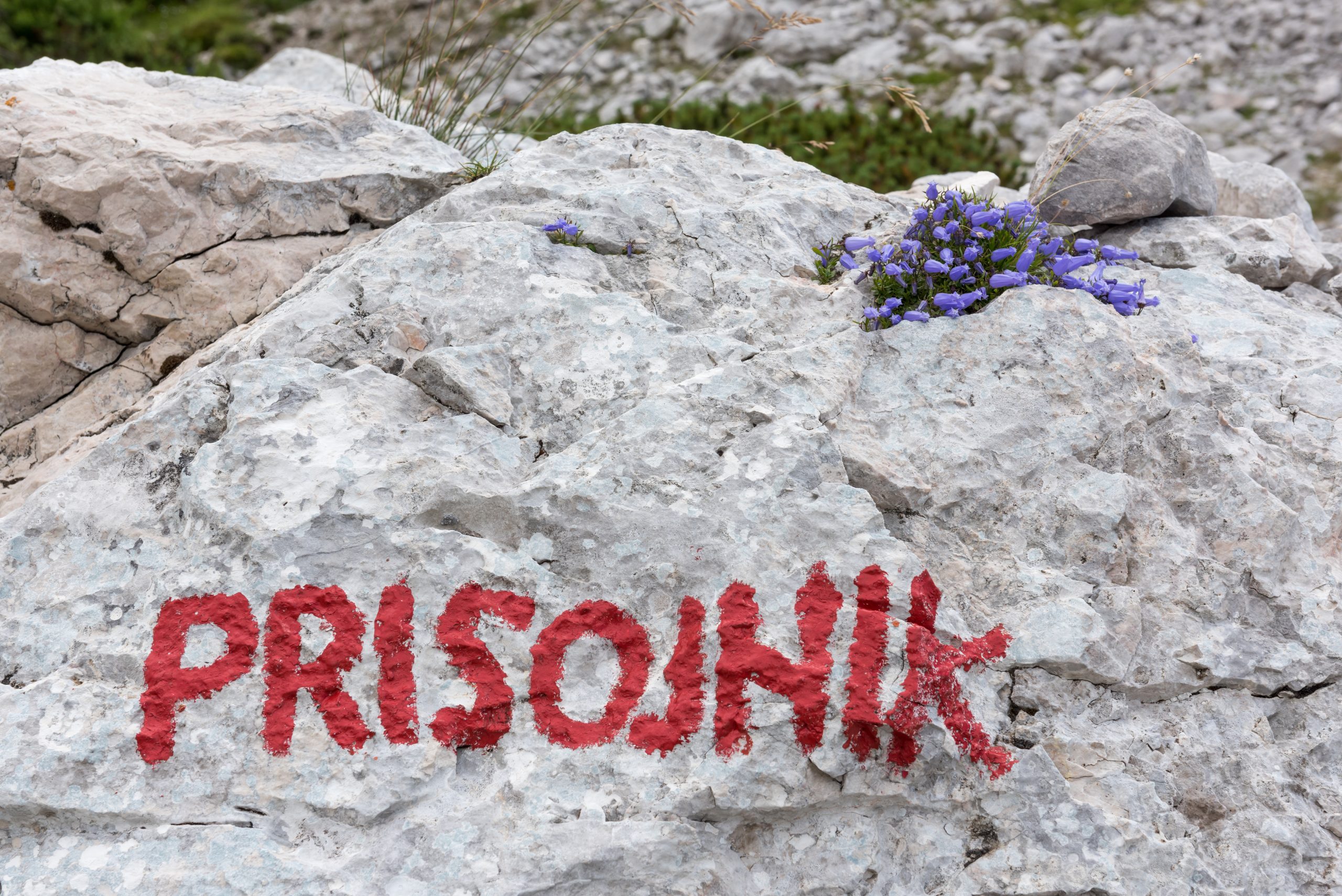 Prisojnik