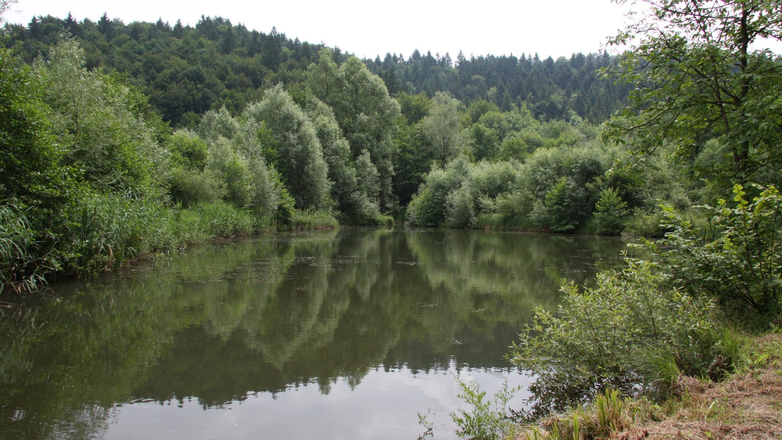 Ribniki Draga pri Igu – lahek sprehod v naravi