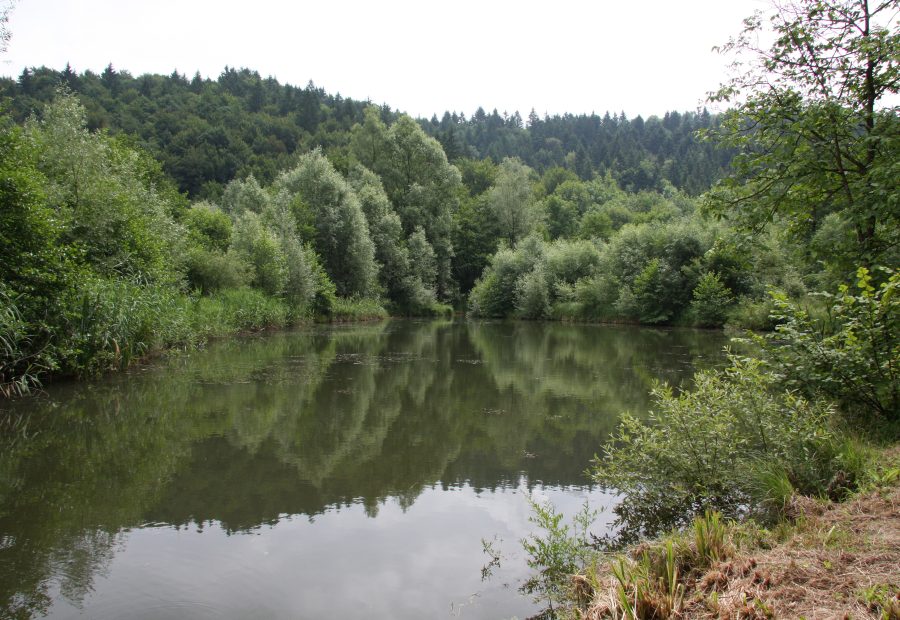 Ribniki Draga pri Igu – lahek sprehod v naravi