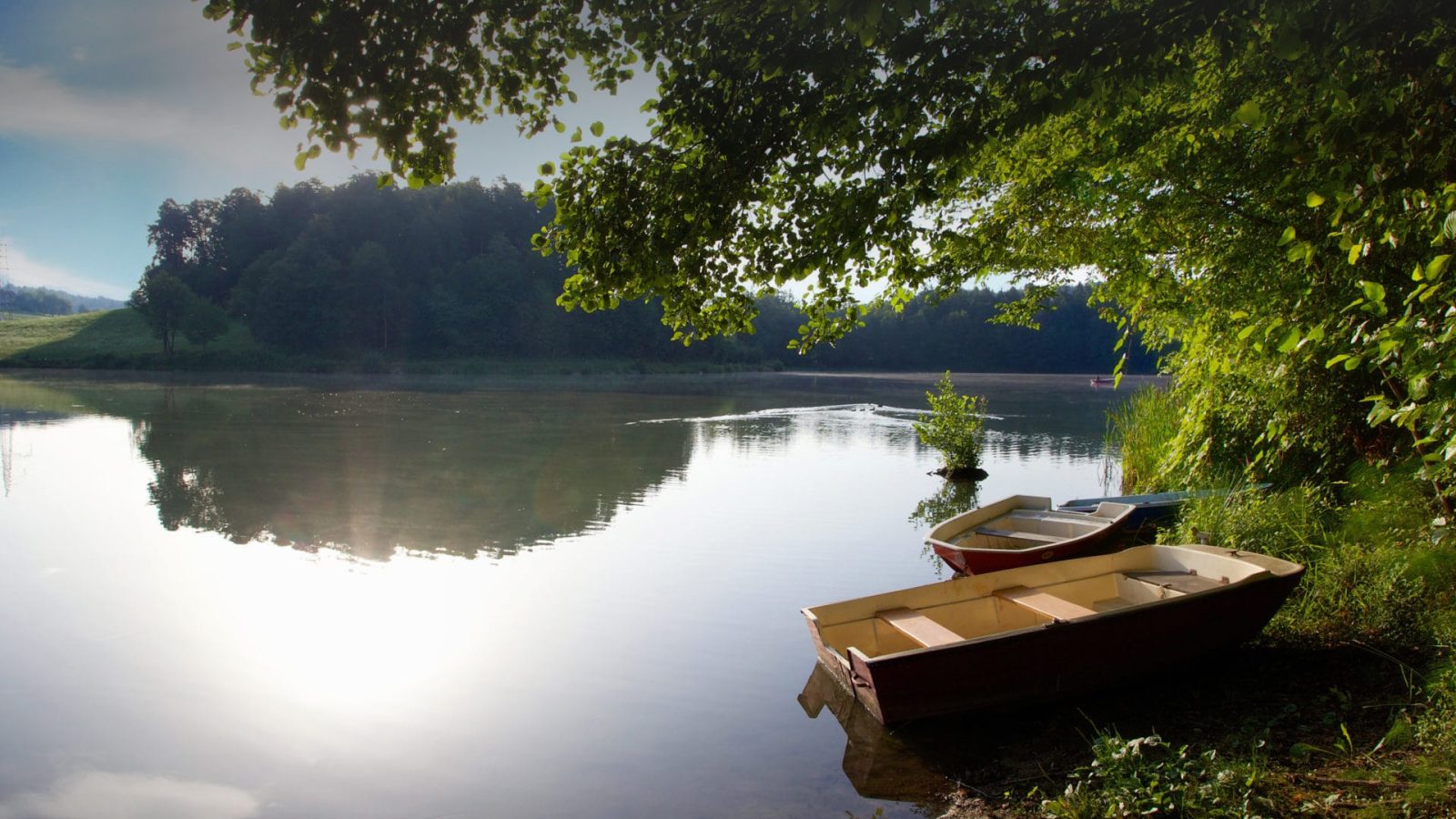 Šmartinsko jezero