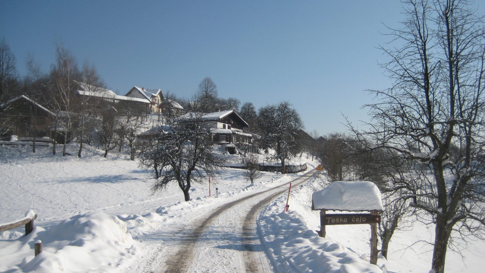 Toško Čelo – gozdni sprehod in razgled