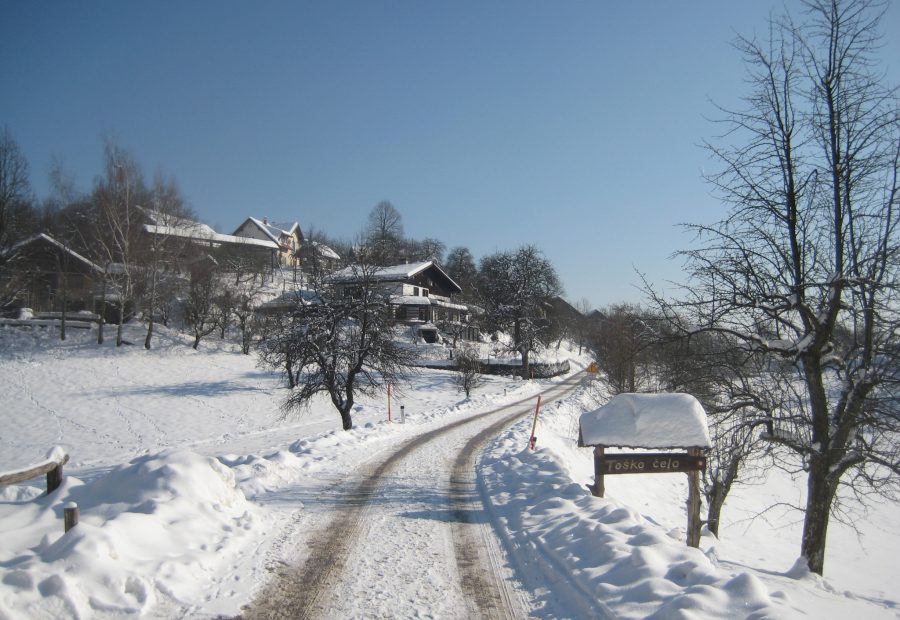 Toško Čelo – gozdni sprehod in razgled