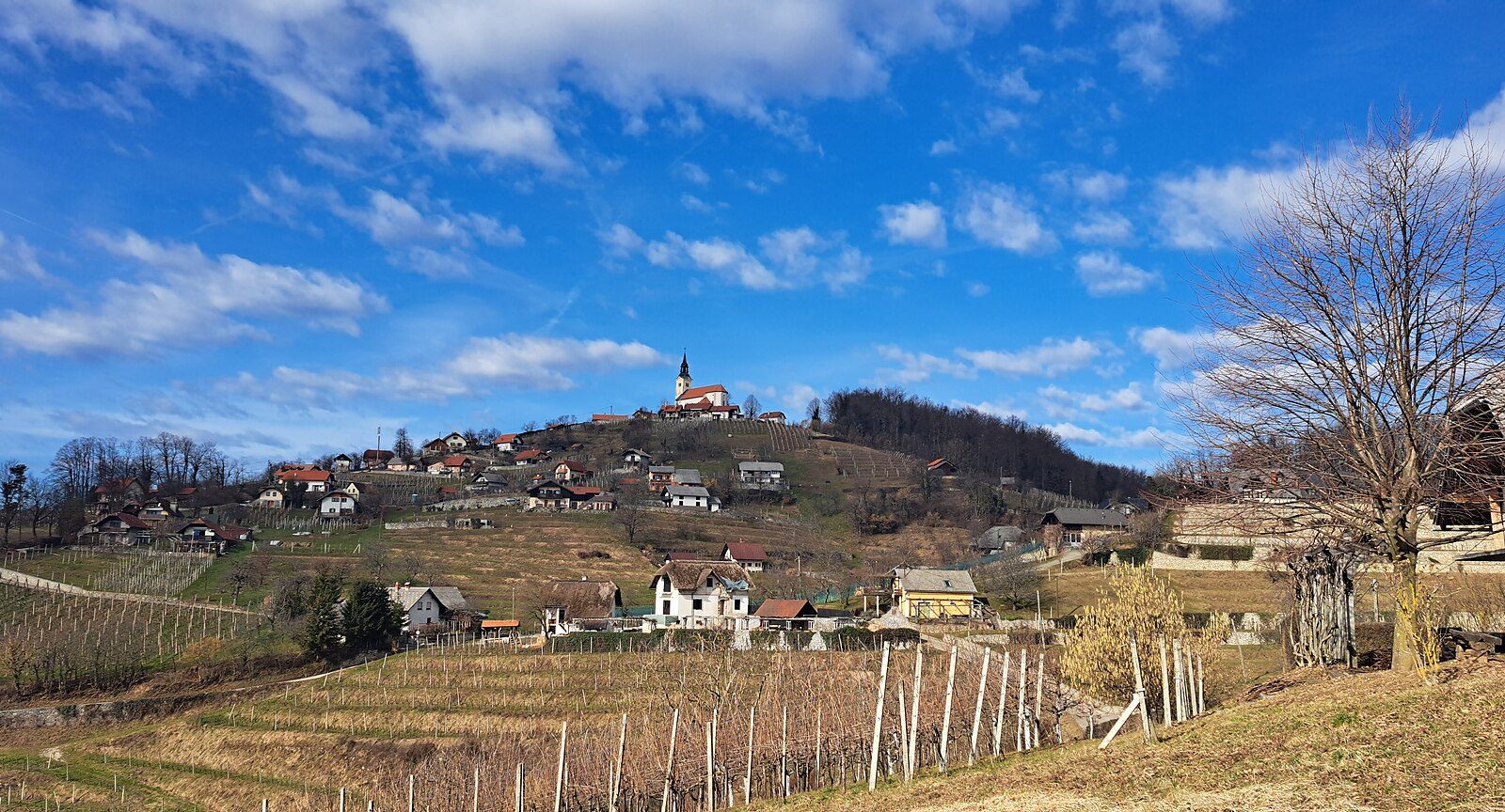 Trška gora – izlet v okolici mesta Novo mesto