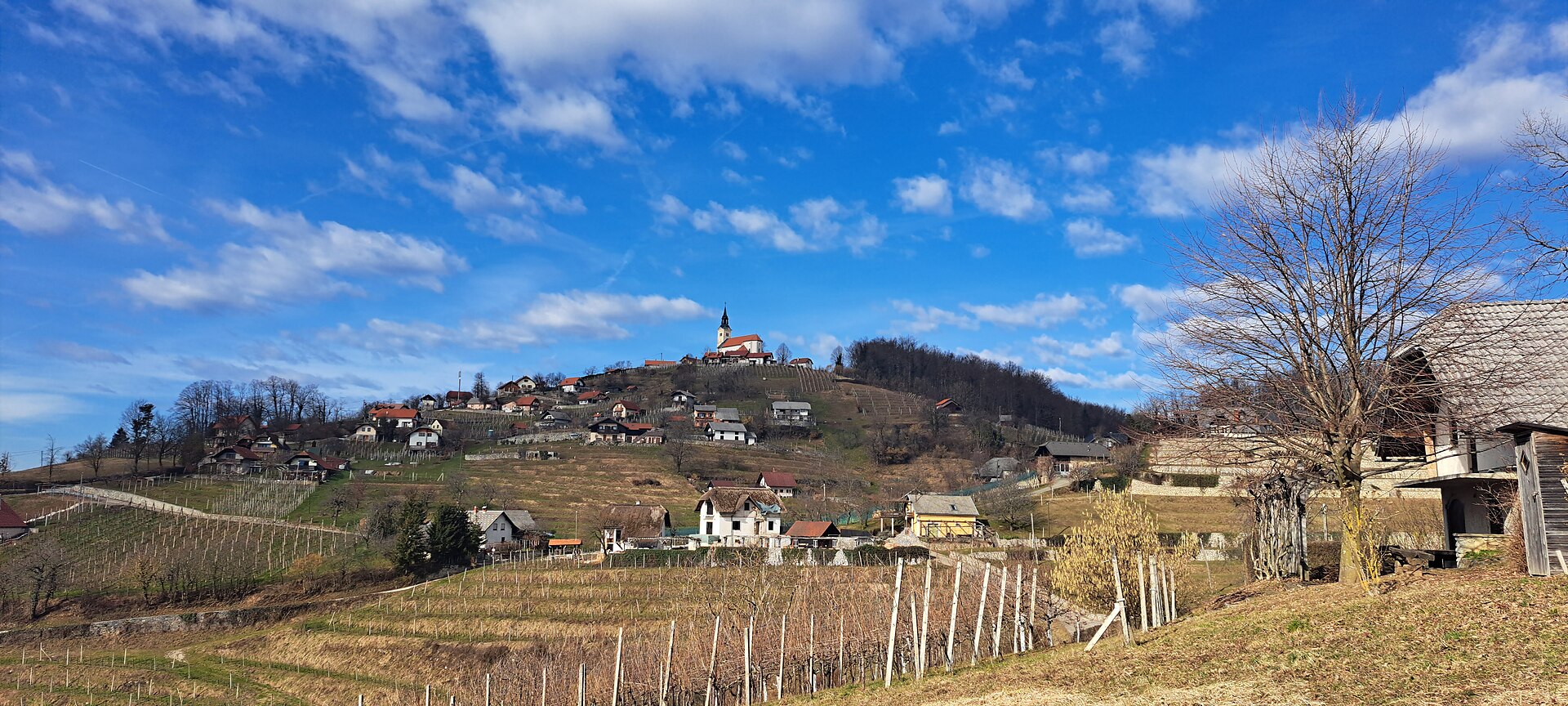 Novo mesto – izlet v okolici