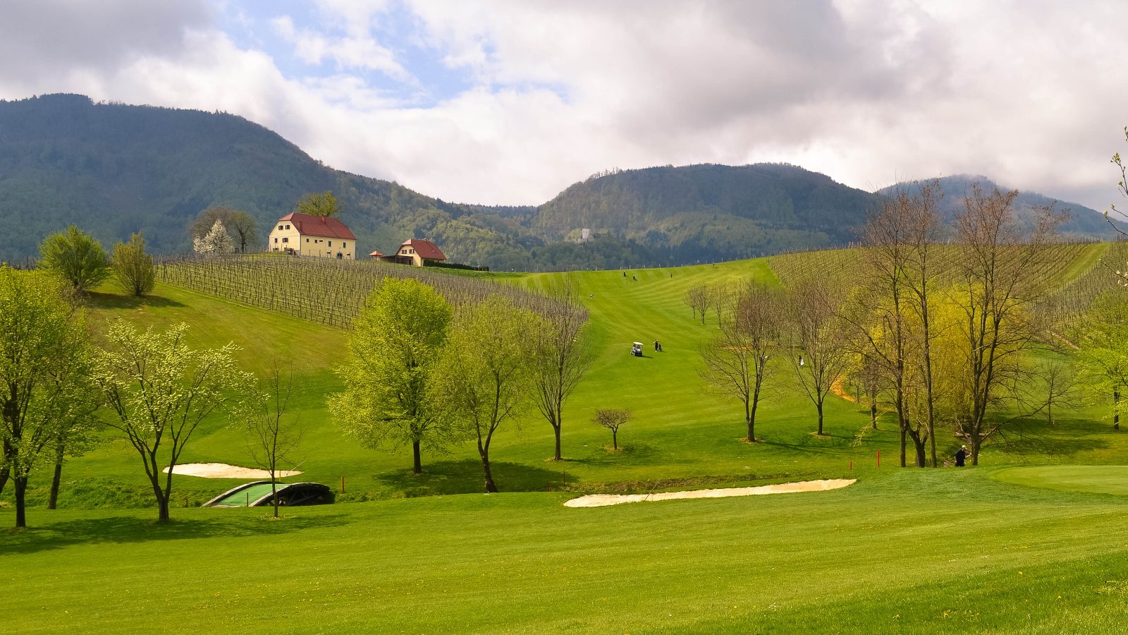 Vinska klet Zlati grič – dostopen izlet