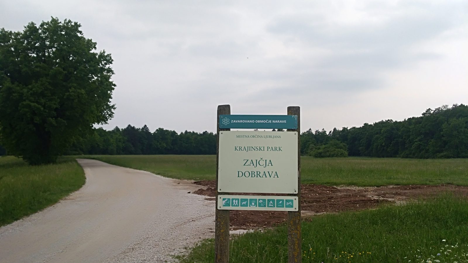 Zajčja dobrava – lahek sprehod v naravi