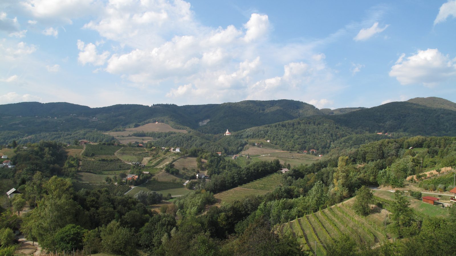 Grad Pišece