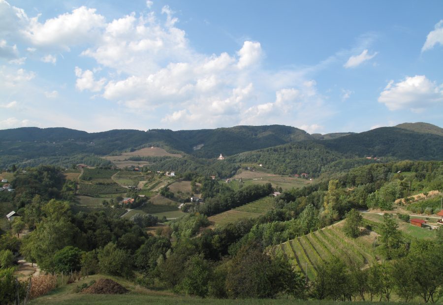 Grad Pišece
