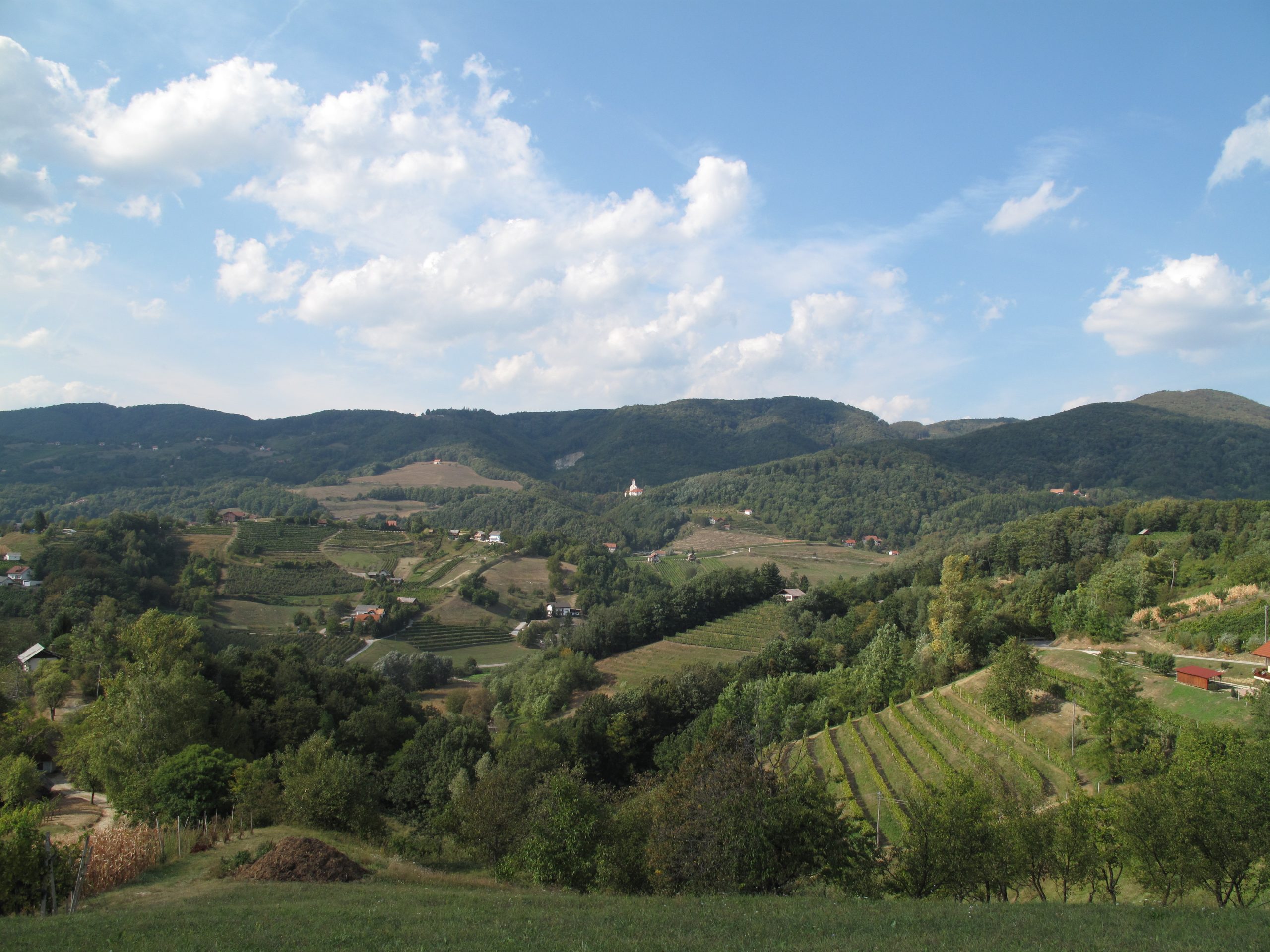 Grad Pišece