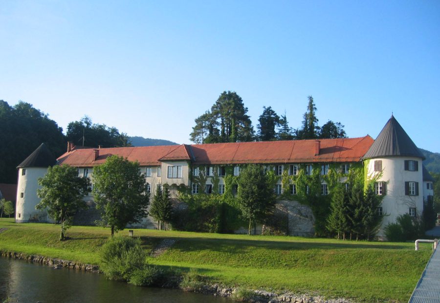 Grad Vrbovec