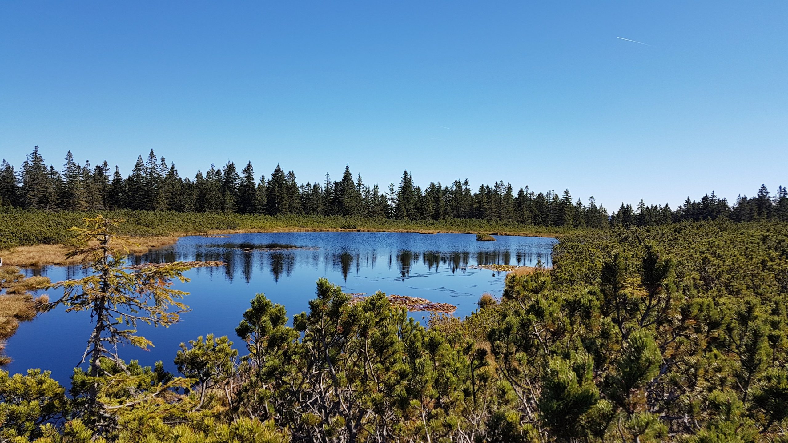 Ribniško jezero